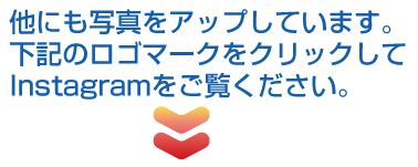 他にも写真をアップしています。Inctagramをご覧ください。